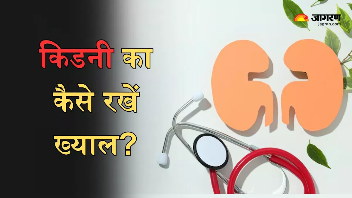 Healthy Kidney Tips: किडनी को बनाना चाहते हैं हेल्दी, तो अपनाएं एक्सपर्ट के बताए ये 7 गोल्डन रूल्स