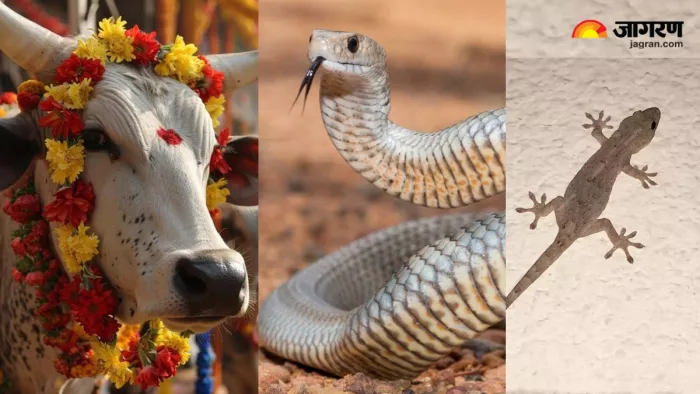 Dream meaning सपने में जानवर देखने का मतलब।
