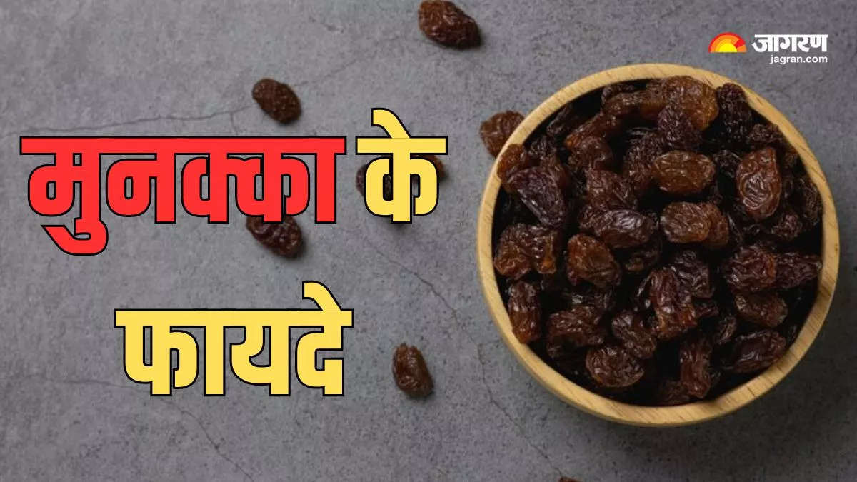 Benefits of Munakka: जान लेंगे भीगे हुए मुनक्के खाने के ये 7 फायदे, तो आप भी तुरंत करेंगे इसे डाइट में शामिल