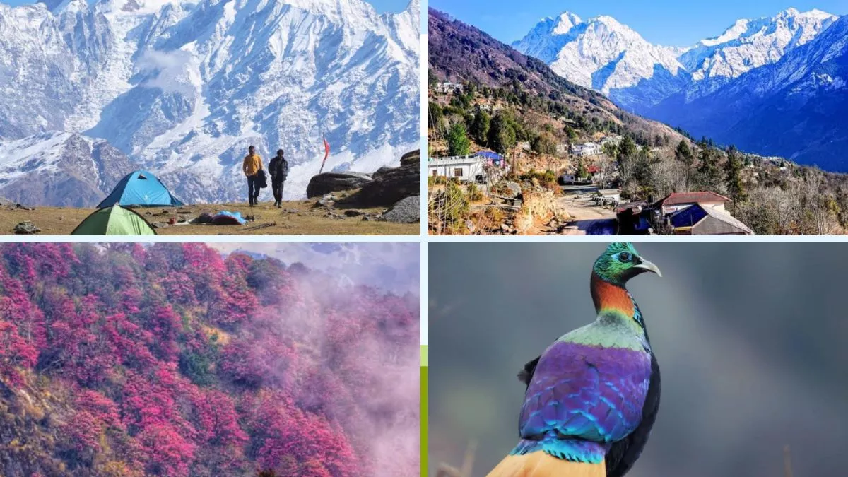Uttarakhand Tourism: हिमनगरी में प्रकृति, पशु-पक्षी दर्शन और ट्रैकिंग का आनंद; खलिया टॉप से होता है जन्नत का दीदार