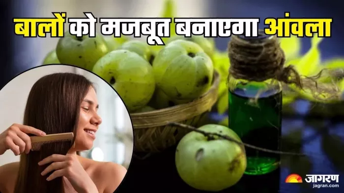 बालों को खूबसूरत बनाएगा आंवला (Picture Credit- Freepik)