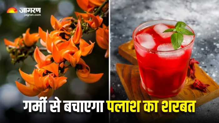 Palash Sharbat Recipe: इस आसान रेसिपी से बनाएं पलाश का शरबत (Image Source: Freepik)