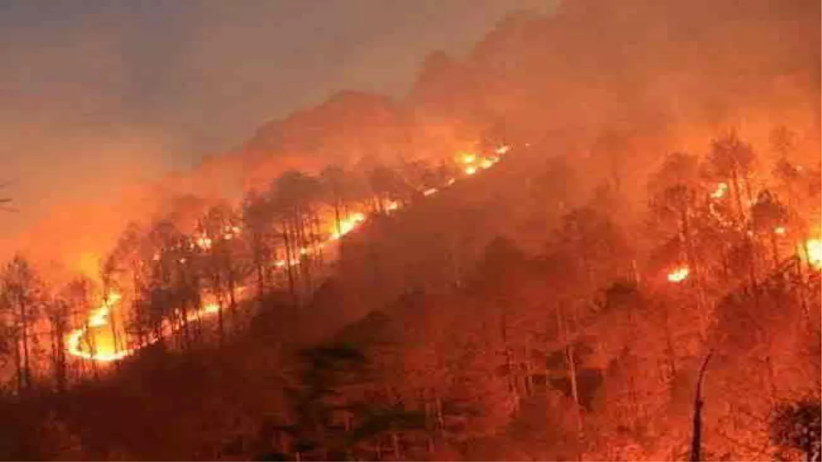 Uttarakhand Forest Fire: उत्तराखंड में हर दिन सुलग रहा औसतन 31.75 हेक्टेयर जंगल