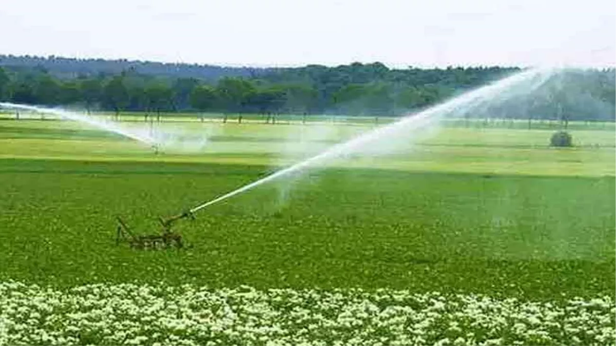 UP Budget 2022-23: खेतों की सि‍ंचाई के लिए किसानों को मिलेगा निश्शुल्क पानी, जलभराव से न‍िपटने का भी इंतजाम
