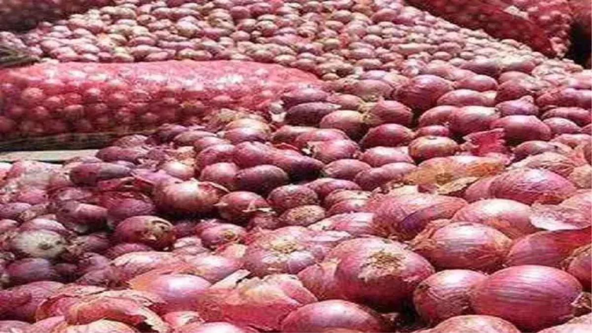 Onion Prices Drop: प्‍याज की कीमतों ने किसान को रुलाया, दाम पिछले साल से काफी कम
