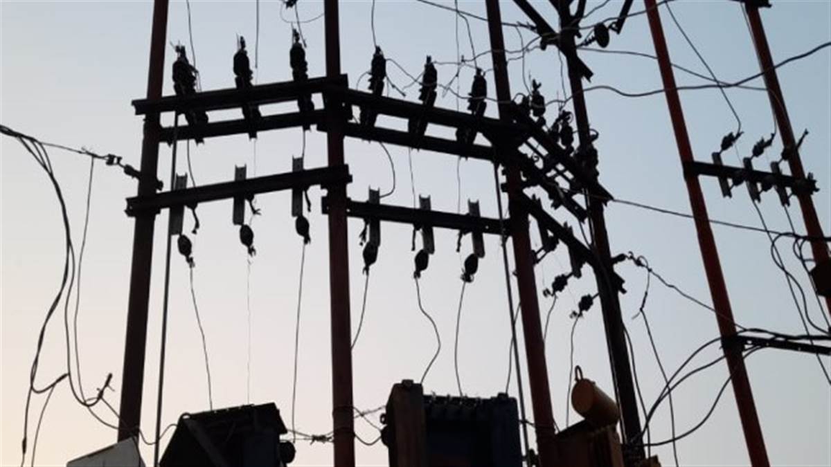 शट डाउन के नाम पर हो रही बिजली कटौती, गर्मी में लोगों का बुरा हाल
