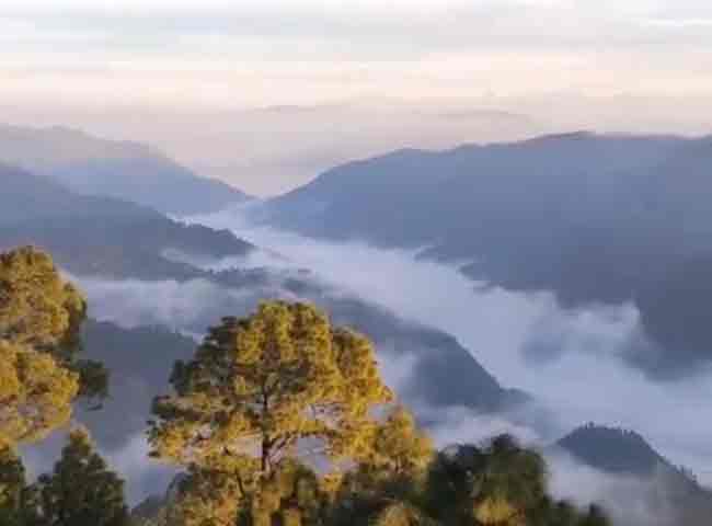 jagran