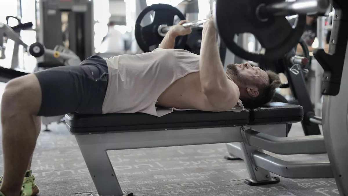 Best Gym Bench Cover Image Source: Pexels