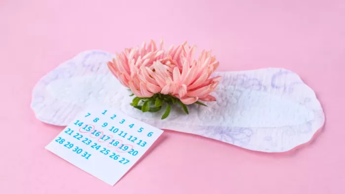 Menstrual Hygiene Day: पीरियड्स के दौरान ऐसे रखें हाइजीन बरकरार