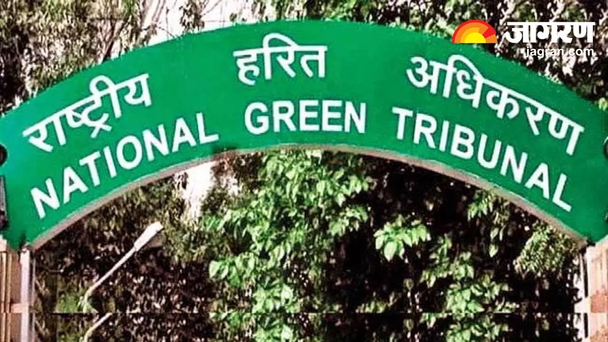 Delhi: UP में सोन नदी के पास अवैध खनन के मामले पर NGT सख्त, दो निजी कंपनियों पर लगाया 15.96 करोड़ का जुर्माना