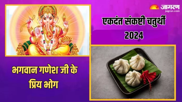 Ekdant Sankashti Chaturthi 2024: भगवान गणेश को मोदक समेत इन चीजों का लगाएं भोग, सभी मनोकामनाएं होंगी पूरी
