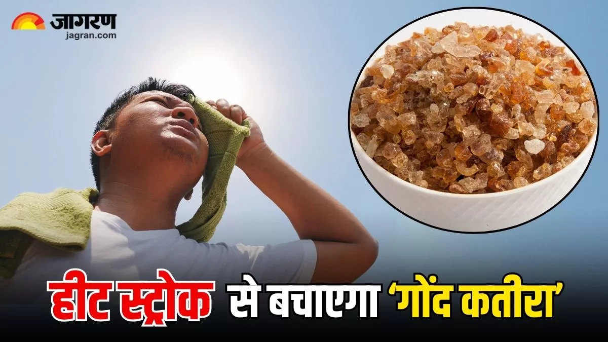 Gond Katira is a miraculous gift of nature in extreme heat, but know its advantages and disadvantages and the right way to use it