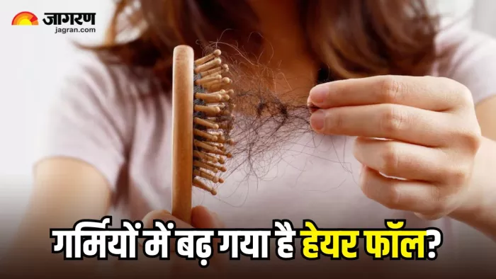 गर्मियों में हेयर फॉल से हैं परेशान, तो डाइट में शामिल करें ये 4 चीजें (Image Source: Freepik)