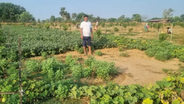 पथरीली जमीन पर लगे आम के बगीचे व हरी सब्जियों की फसल के बीच किसान मुरली यादव