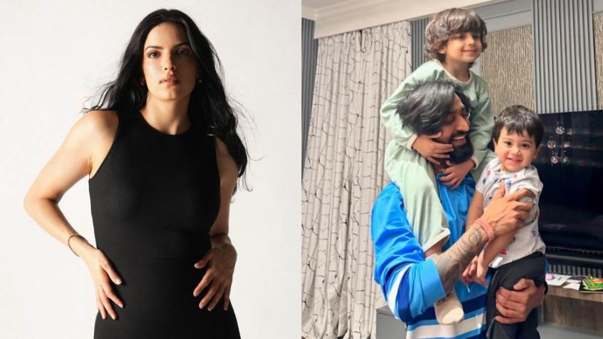 natasa stankovic react to devar krunal pandya post amid divorce rumours with hardik pandya