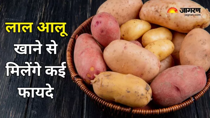 लाल आलू खाने से मिलेंगे कई फायदे (Picture Courtesy: Freepik)