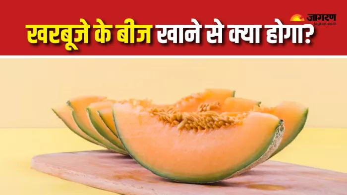 Muskmelon Seeds Benefits: खरबूजे के बीज खाने से मिलेंगे 5 फायदे (Picture Courtesy: Freepik)