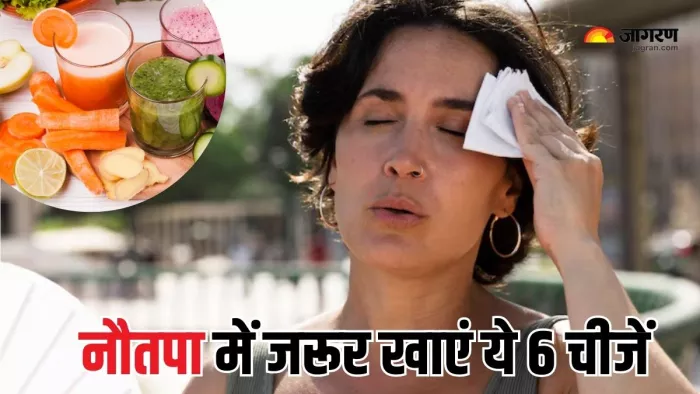 Nautapa 2025: नौतपा में इन फूड्स को जरूर करें डाइट में शामिल (Picture Courtesy: Freepik)