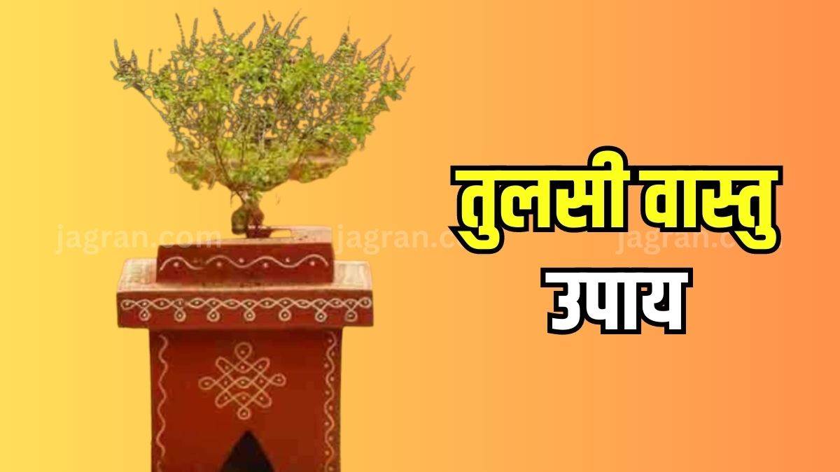 https://www.jagranimages.com/images/newimg/26062023/26_06_2023-vastu_tips_for_tulsi_23452640.jpg