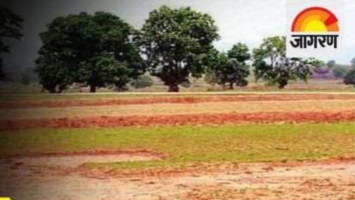 now single window facility will be available from property allocation to up land registry