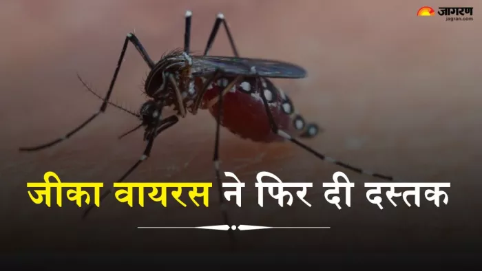 क्या है जीका वायरस और इसके लक्षण (Picture Credit- Freepik)