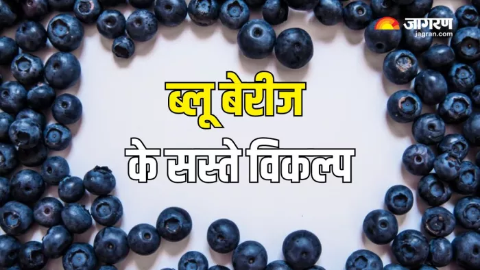 Blue Berries की जगह इन बेरीज को भी बना सकते हैं डाइट का हिस्सा (Picture Courtesy: Freepik)
