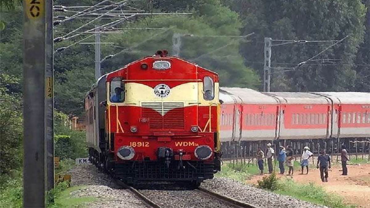 two lions injured after colliding with train in gujarat