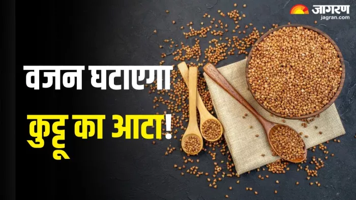 झटपट वजन घटाता है कुट्टू का आटा (Picture Credit- Freepik)