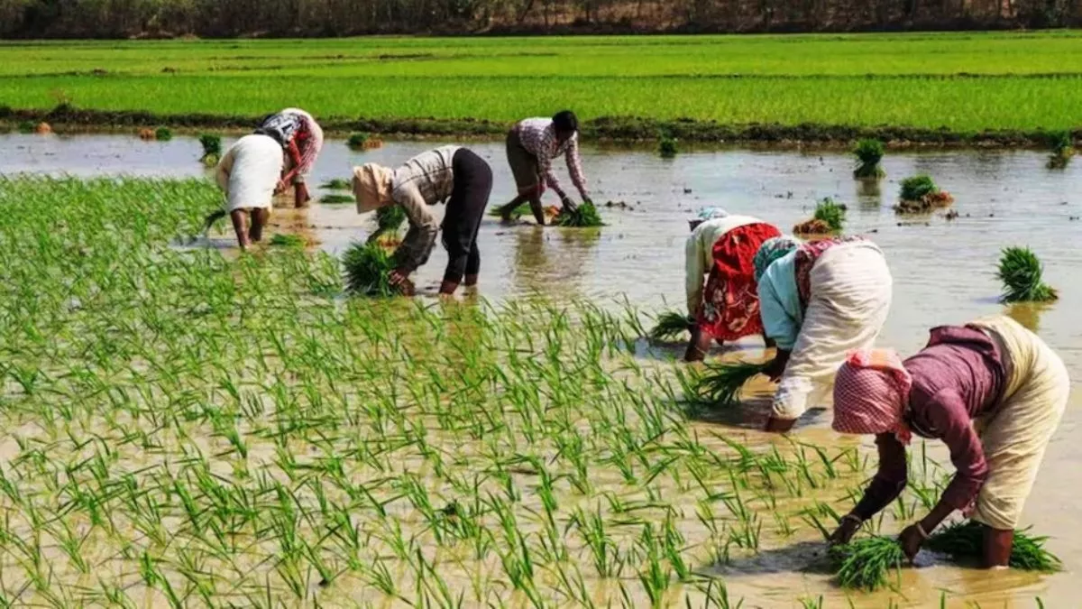 Bihar News: लगभग 5000 किसान परेशान, इस बात के लिए दे दी आत्मदाह की चेतावनी