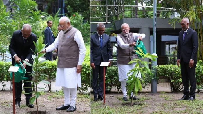 'एक पेड़ मां के नाम' पहल के तहत पीएम मोदी ने मालदीव में लगाया आम का पौधा (फोटो- एक्स)