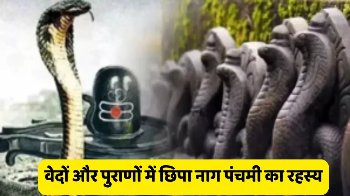 Nag Panchami 2025: पुराण से पर्यावरण तक नाग पंचमी का खास महत्व, इसमें छिपा सर्पों से जुड़ा रहस्य