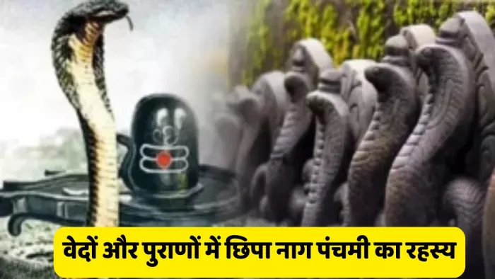 Nag Panchami 2025: नाग पंचमी त्योहार का खास महत्व होता है।