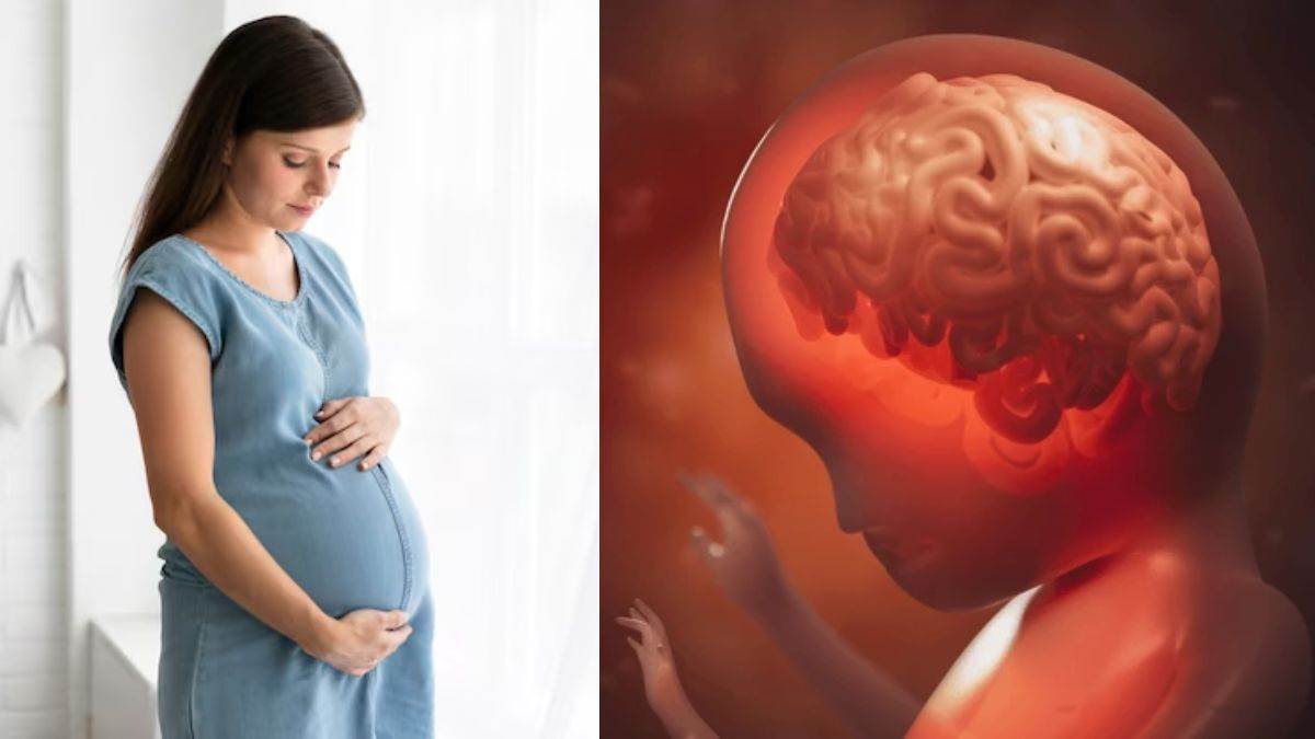pregnancy hormones sex hormone levels in pregnancy affect babys brain development research reveals