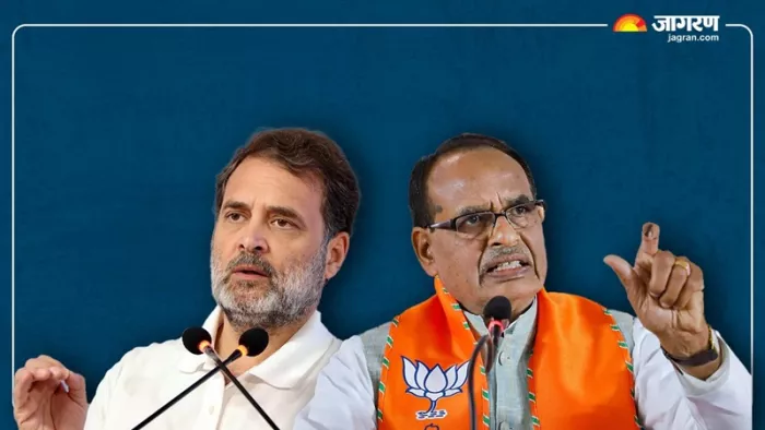 कृषि मंत्री शिवराज सिंह चौहान ने राहुल गांधी पर निशाना साधा।(फोटो सोर्स: जागरण ग्राफिक्स)