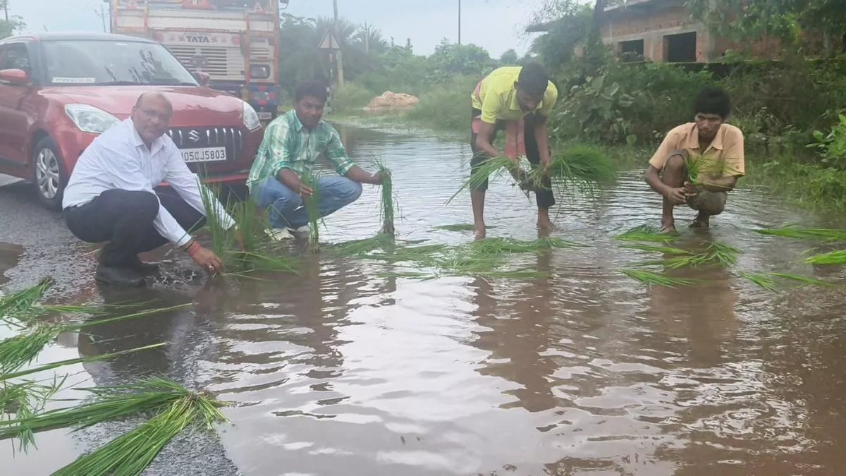 सरायकेला में जर्जर सड़क पर धान रोपकर किया विरोध प्रदर्शन, बोले- रोड नहीं तो टोल टैक्स का होगा बहिष्कार