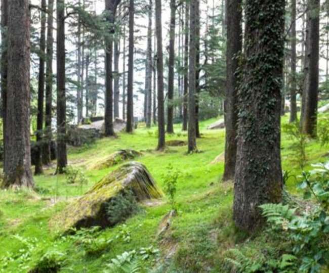 UP Forest Department encroachment on 23250 hectares of forest land in Uttar Pradesh