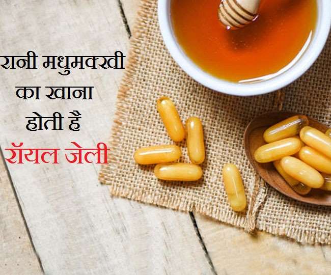 Royal Jelly Benefits रानी मधुमक्खी का खाना होती है रॉयल जेली, इन 10 समस्याओं का है रामबाण इलाज