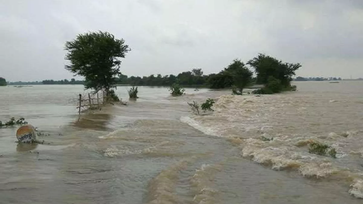 Flood In UP: यूपी के कई ज‍िले बाढ़ की चपेट में, कई राज्‍यों से नद‍ियों में  छोड़ा गया पानी बढ़ा रहा च‍िंता - Many districts of uttar pradesh under flood