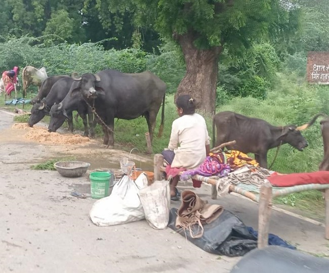 jagran