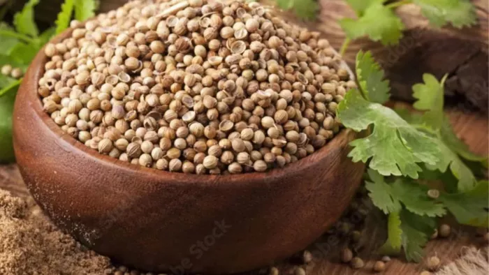 Coriander Water Benefits: बॉडी को डिटॉक्सीफाई करने में बेहद कारगर है धनिया का पानी