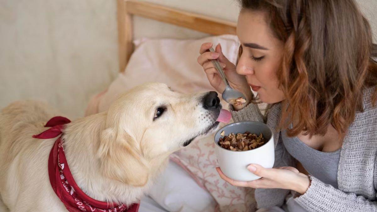 https://www.jagranimages.com/images/newimg/26082023/26_08_2023-international_dog_day_2023_23512921.jpg