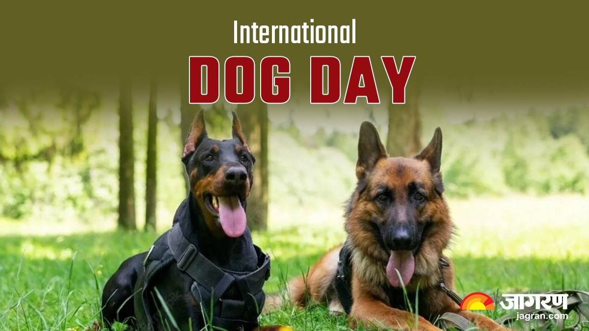 https://www.jagranimages.com/images/newimg/26082023/26_08_2023-international_dog_day_23513129_163931887.jpg