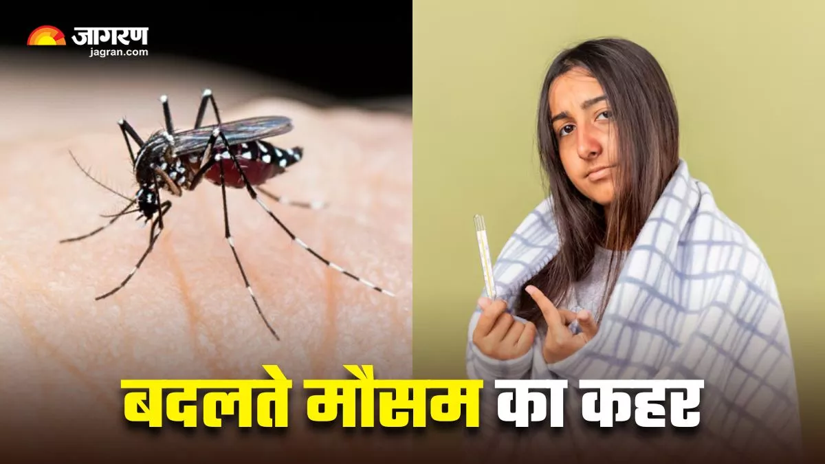 वायरल बुखार से लेकर डेंगू तक, बदलते मौसम ने बढ़ाई लोगों की परेशानी; डॉक्टर से जानें बचाव के उपाय