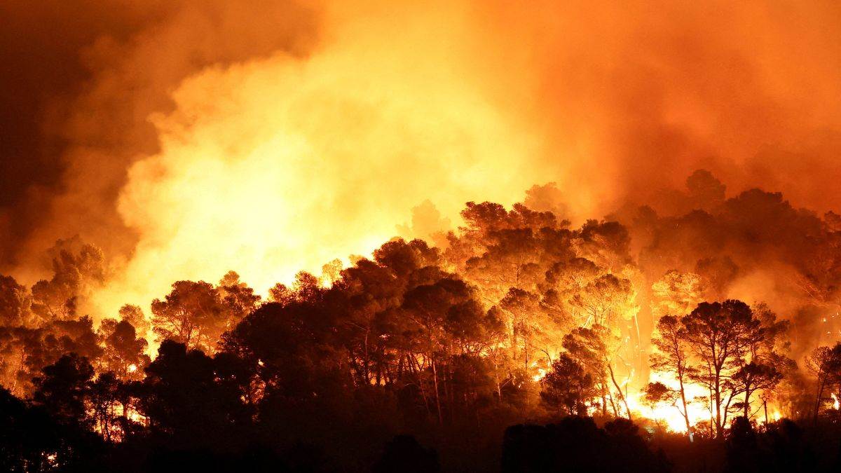 https://www.jagranimages.com/images/newimg/26082025/26_08_2025-forest-fire_24025637_161515169.jpg