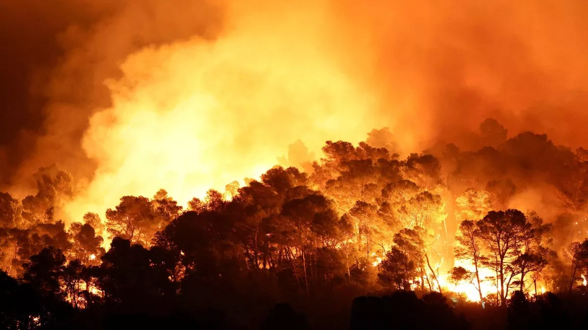 https://www.jagranimages.com/images/newimg/26082025/26_08_2025-forest-fire_24025637_161515169.jpg