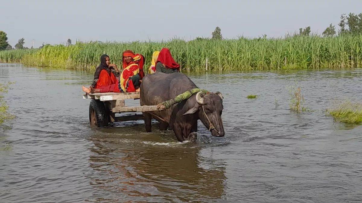 https://www.jagranimages.com/images/newimg/26082025/26_08_2025-ganga_water_lavel_1_24025862_19240316.jpg