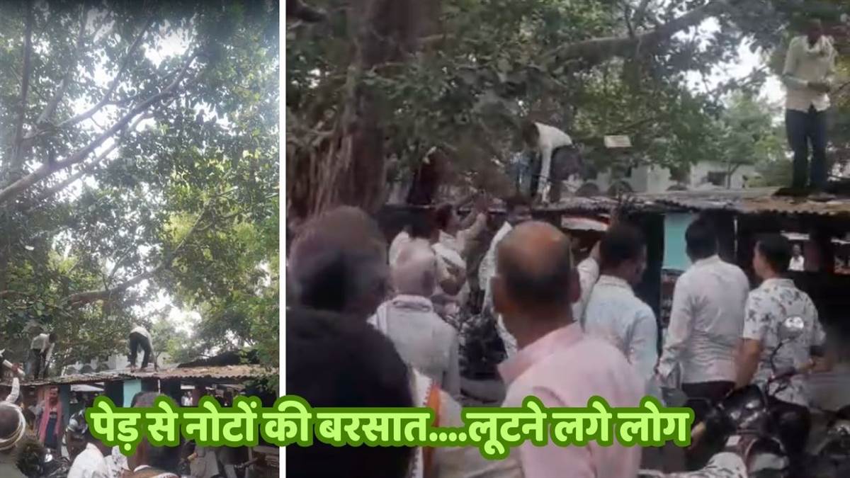 https://www.jagranimages.com/images/newimg/26082025/26_08_2025-monkey_threw_money_in_auraiya_1_24025794.jpg