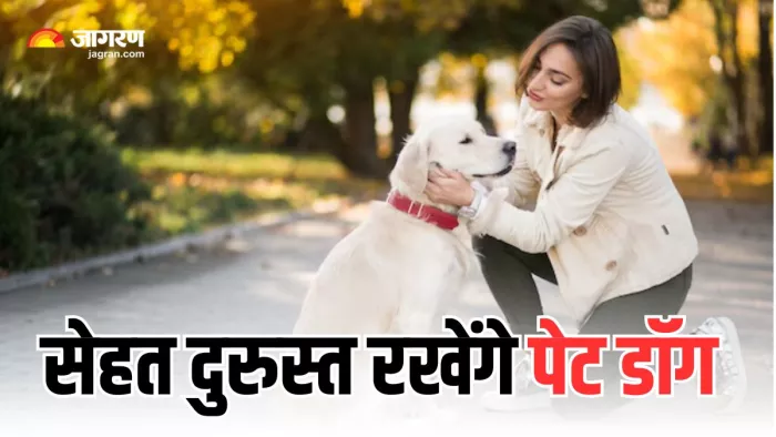 डॉग्स कैसे बनाते हैं सेहत को बेहतर? (Picture Courtesy: Freepik)