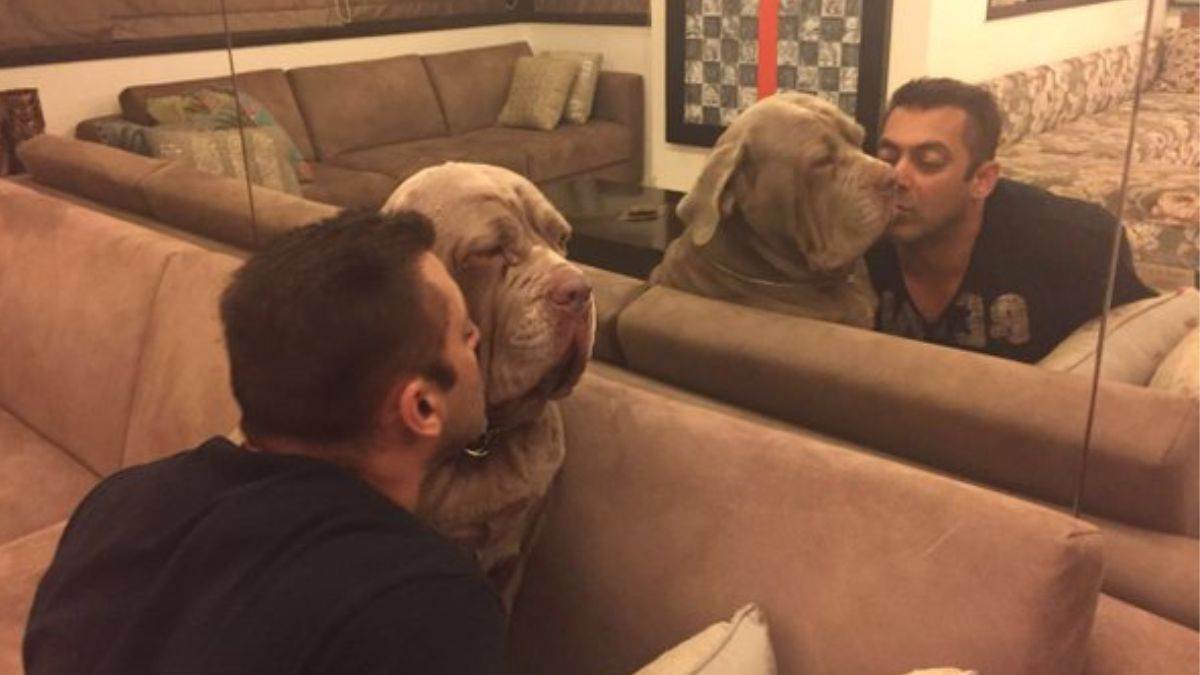 https://www.jagranimages.com/images/newimg/26082025/26_08_2025-salman_khan_post__24025350.jpg