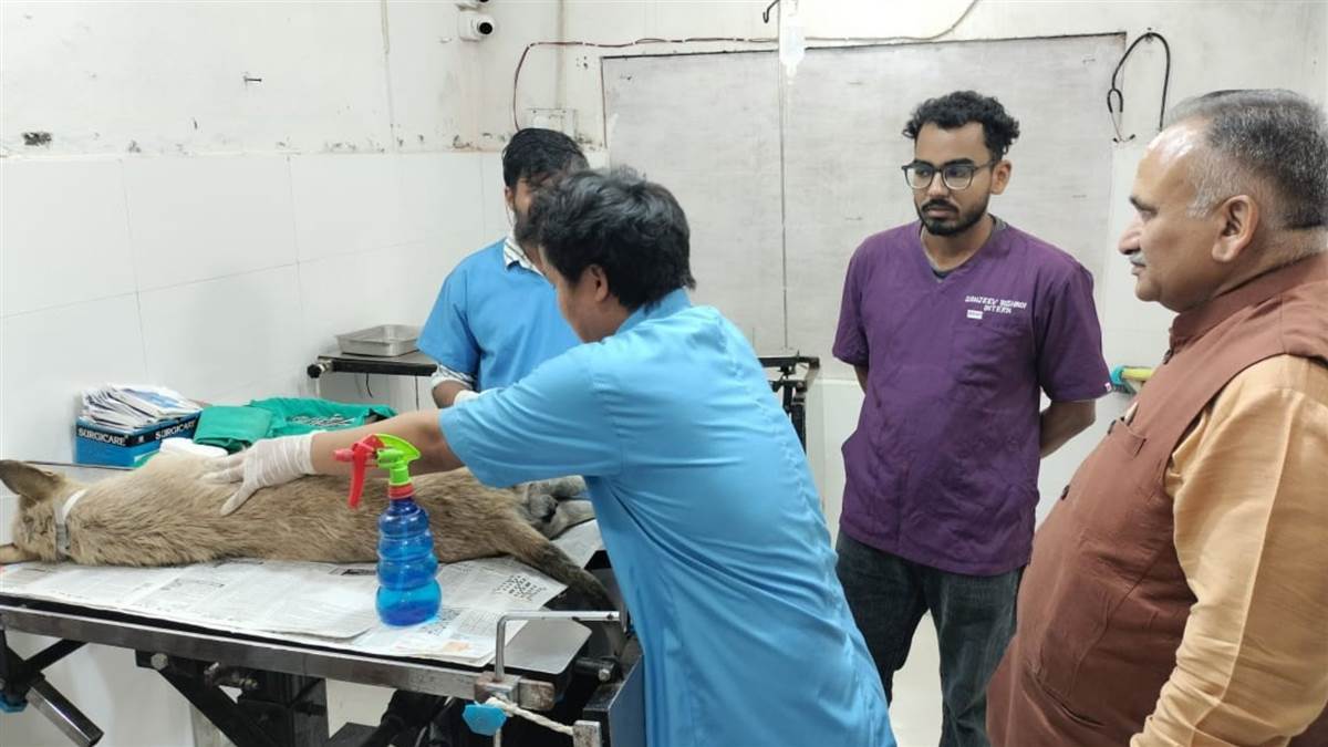https://www.jagranimages.com/images/newimg/26082025/26_08_2025-sonipat_16_24025636.jpg